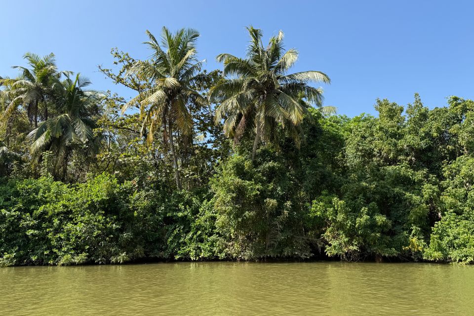 La rivière Nilwala à Matara : une excursion nature et humaine au sud du Sri Lanka La rivière Nilwala à Matara : une excursion nature et humaine au sud du Sri Lanka