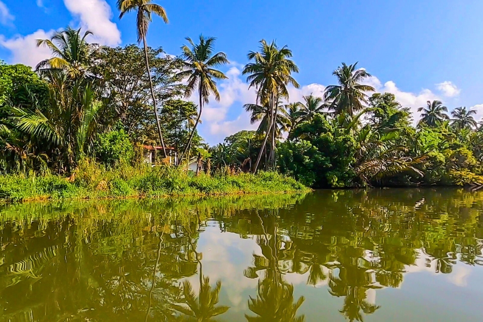 La rivière Nilwala à Matara : une excursion nature et humaine au sud du Sri Lanka La rivière Nilwala à Matara : une excursion nature et humaine au sud du Sri Lanka
